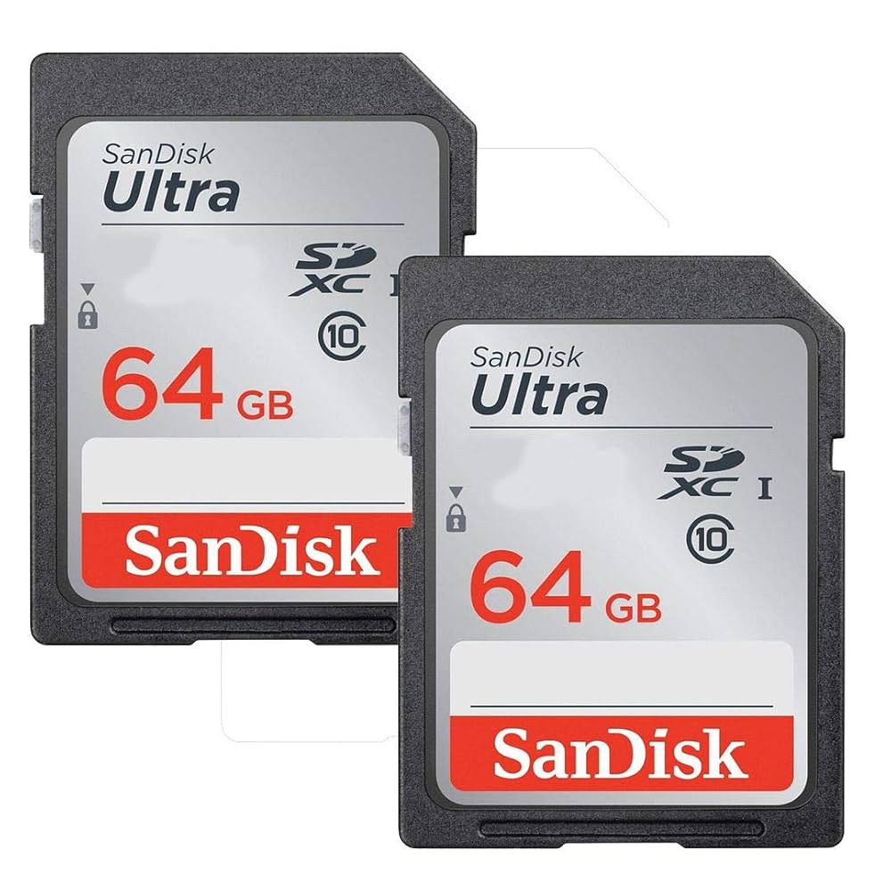 NikonD5600 18-55mm55~200mmセットsdカード128gb付 Buy Nikon D5600 with AF-P 18-55 mm + AF-P 70-300 mm VR Kit